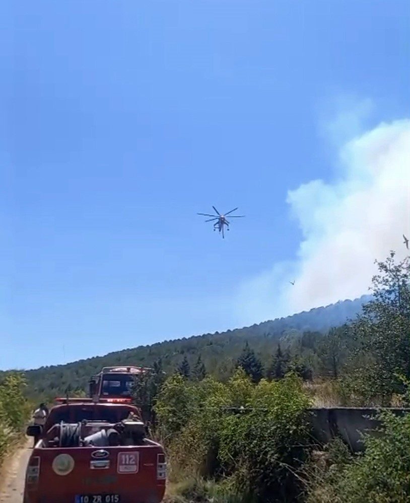 Balıkesir’in Gömeç ilçesinde 24 saattir devam eden orman yangını ile