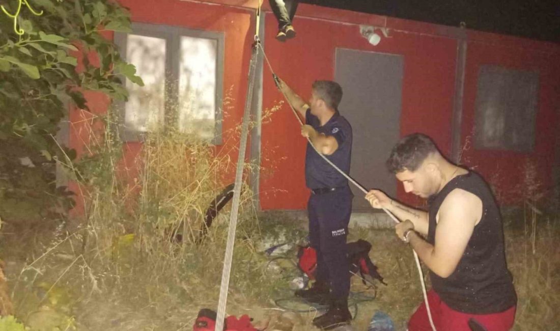 Balıkesir’de iş yerinin kuyusuna düşen yavru kedi itfaiye eri tarafından