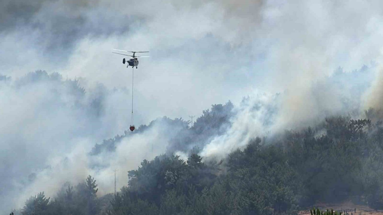 Balıkesir’de son 3 günde kırsal bölgede çıkan arazi ve orman