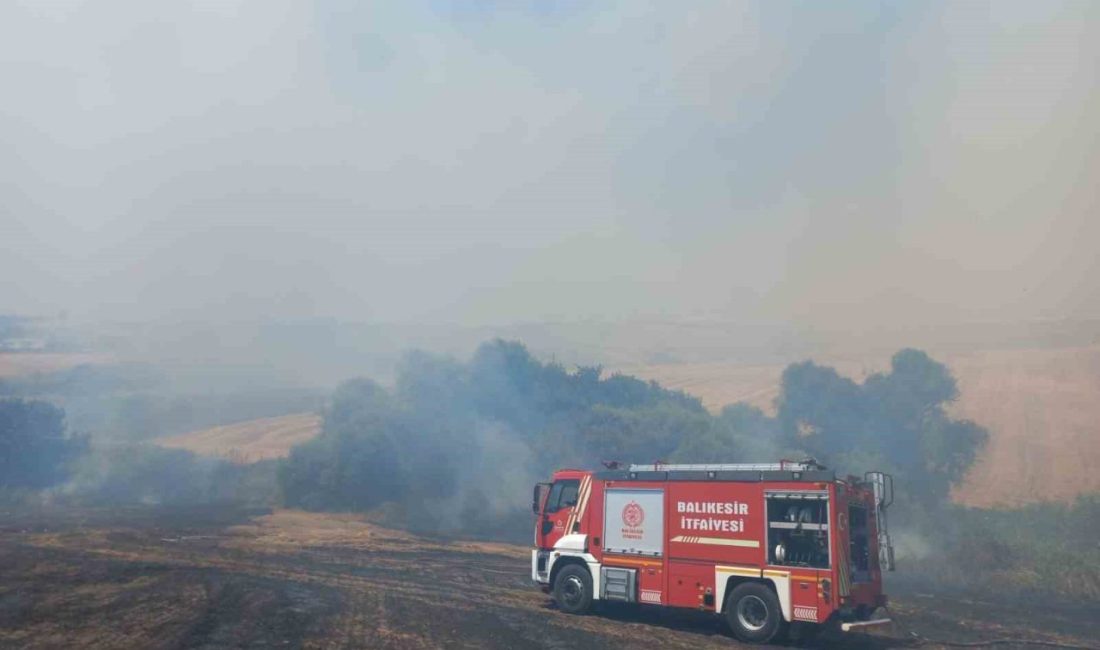 Balıkesir’in Bandırma ilçesinde 4 ayrı noktadan başlayarak rüzgarın etkisiyle büyüyen