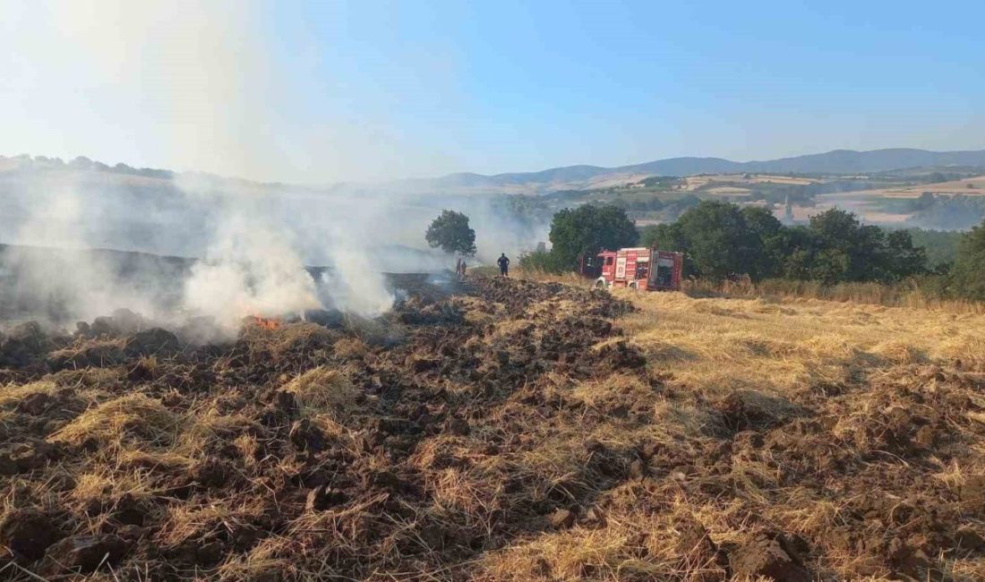 Balıkesir’in Bandırma ilçesinde rüzgarın da etkisiyle büyüyen arazi ve buğday