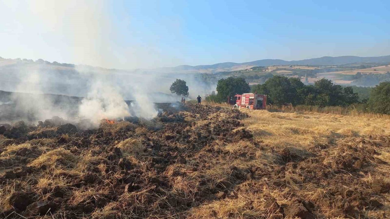 Balıkesir’in Bandırma ilçesinde rüzgarın da etkisiyle büyüyen arazi ve buğday