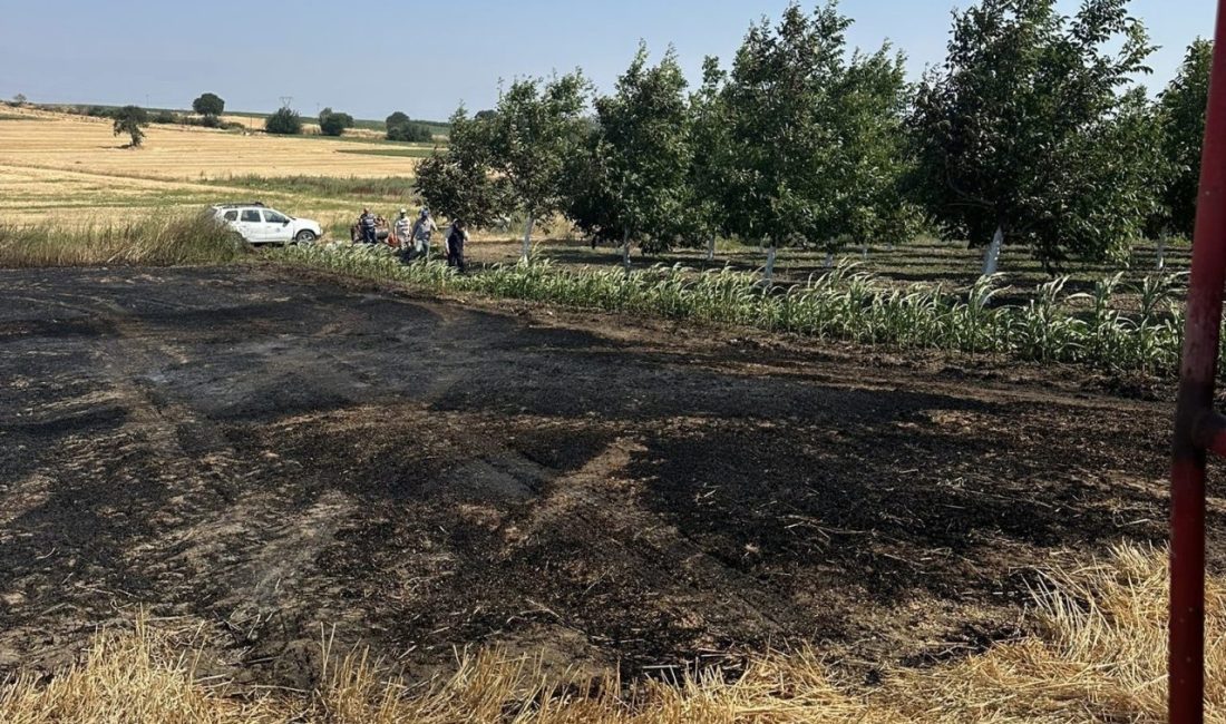 Balıkesir’in Bandırma ilçesinde meydana gelen anız yangını, itfaiye ekiplerinin müdahalesiyle