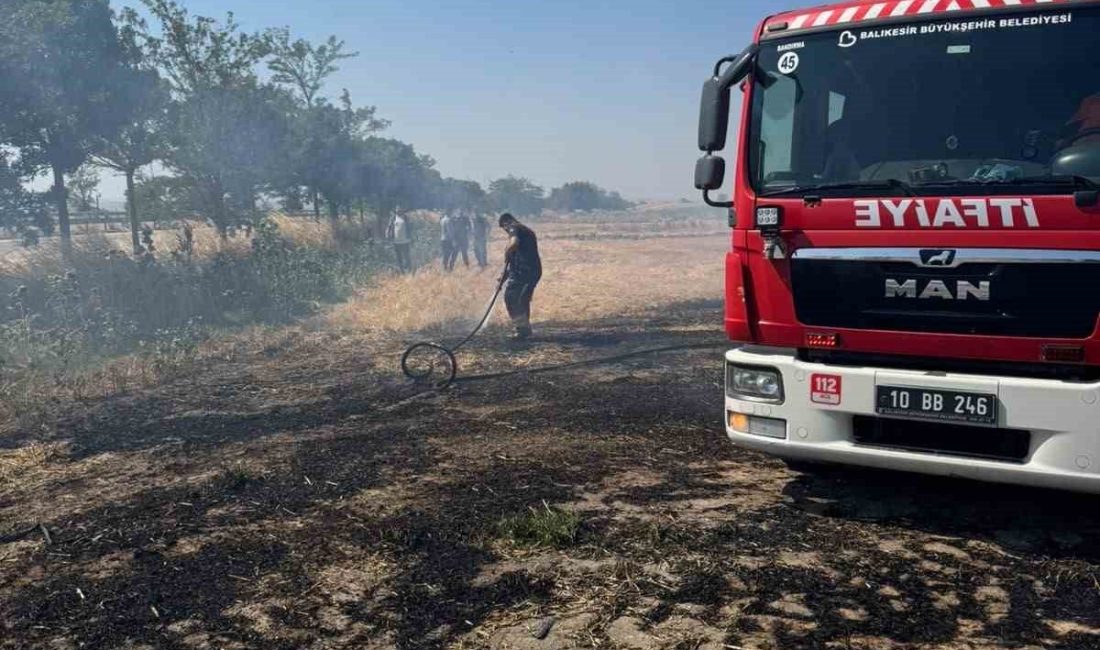 Balıkesir’in Bandırma ilçesinde kırsal kesimde bulunan anız ve otluk alanda