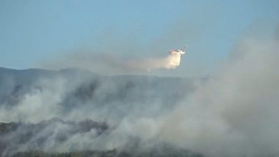 Çanakkale’nin Bayramiç ilçesinde çıkan orman yangınına Orman Bölge Müdürlüğü ekipleri