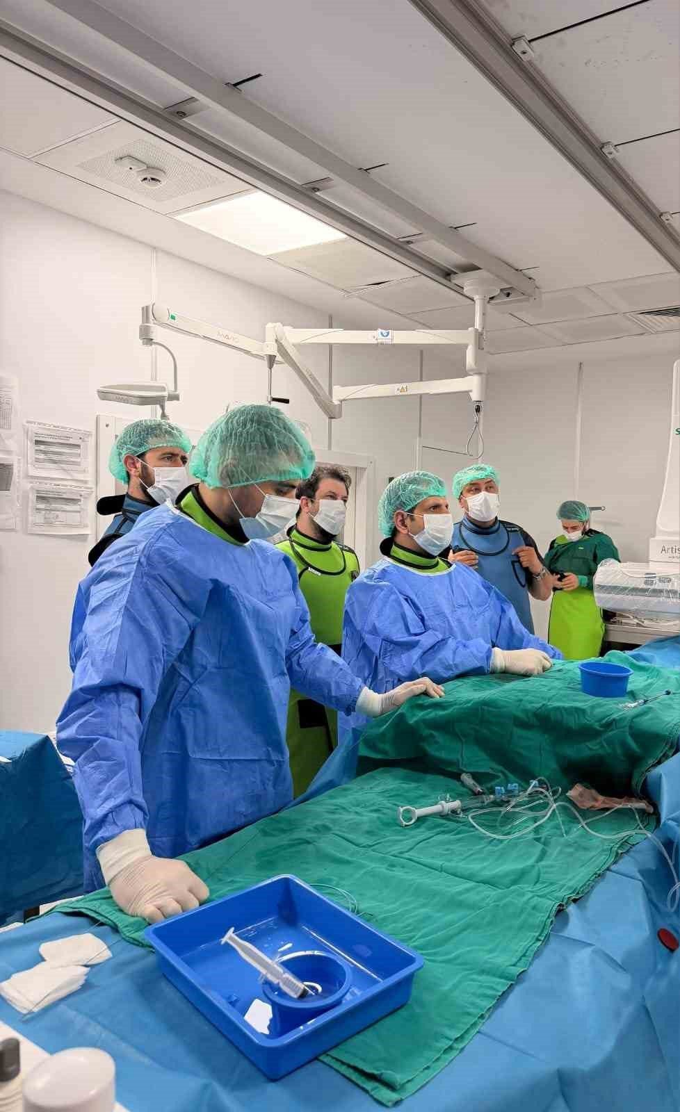 Bilecik Eğitim ve Araştırma Hastanesi’nde, kalpteki doğuştan delik ameliyatsız kapatıldı.