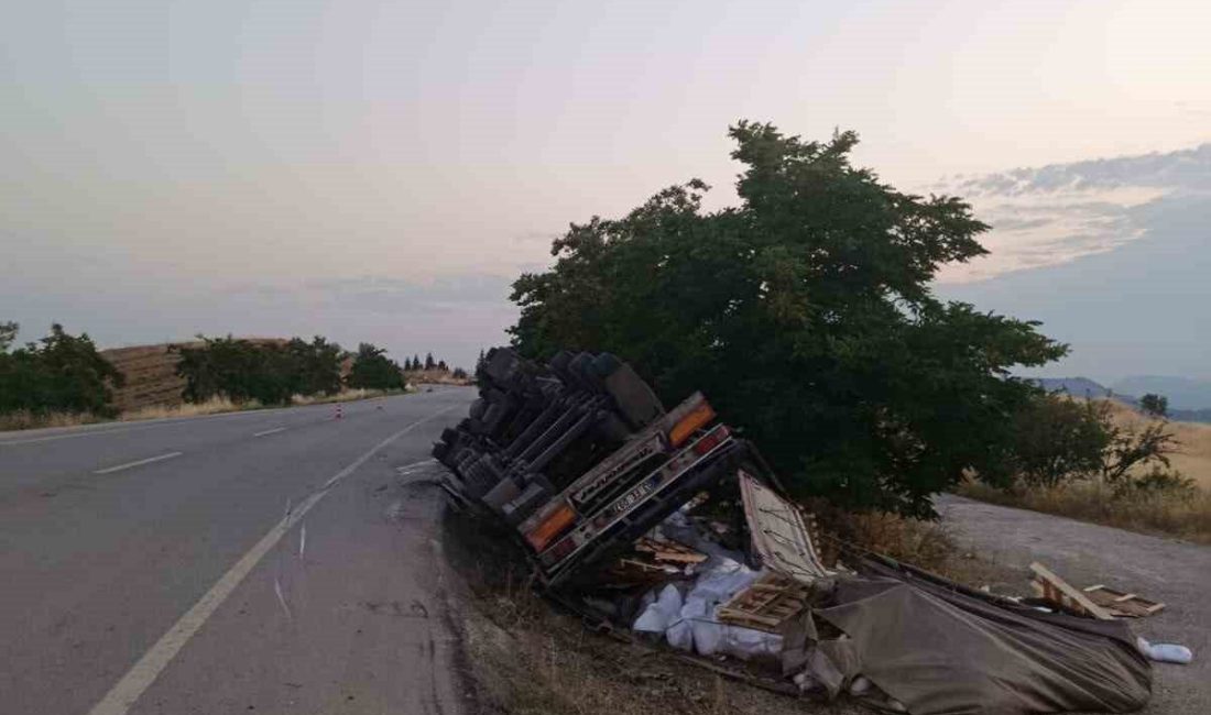 Bilecik’in Söğüt ilçesinde kontrolden çıkarak yan yatan tırın sürücüsü yaralandı