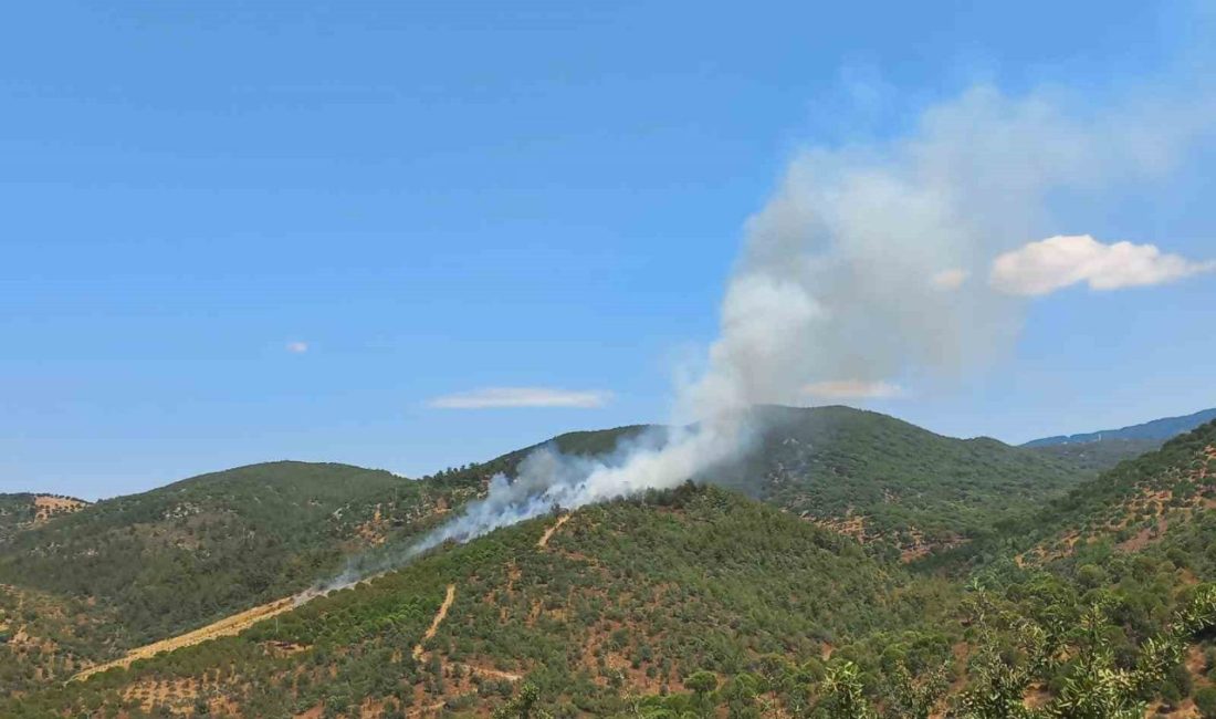 Balıkesir’in Burhaniye İlçesine bağlı Hacıbozlar Mahallesinde saat 14.30 dolayında çıkan