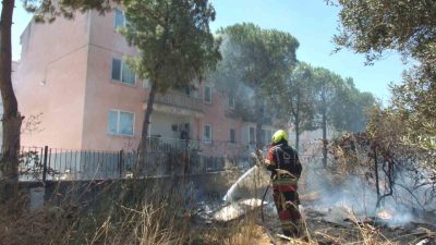 Balıkesir’in Burhaniye ilçesinde, Çanakkale-İzmir Karayolu kenarında çıkan ot yangını zeytinliğe