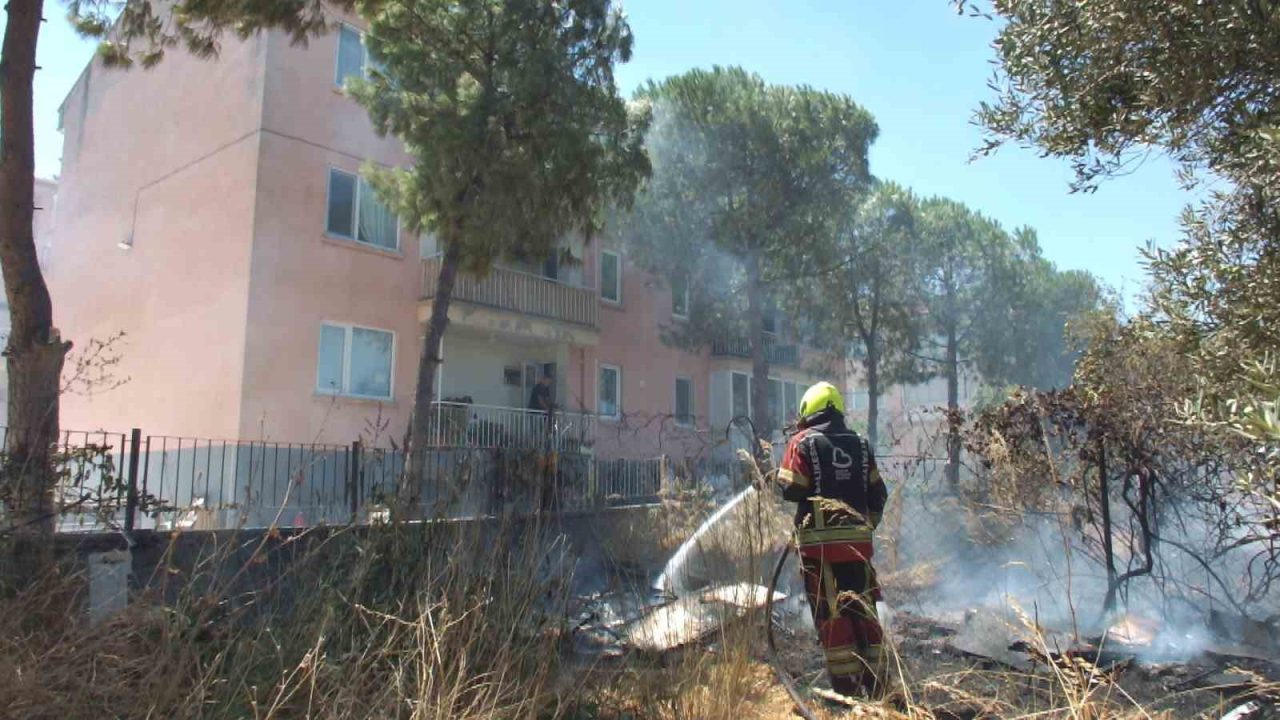 Balıkesir’in Burhaniye ilçesinde, Çanakkale-İzmir Karayolu kenarında çıkan ot yangını zeytinliğe