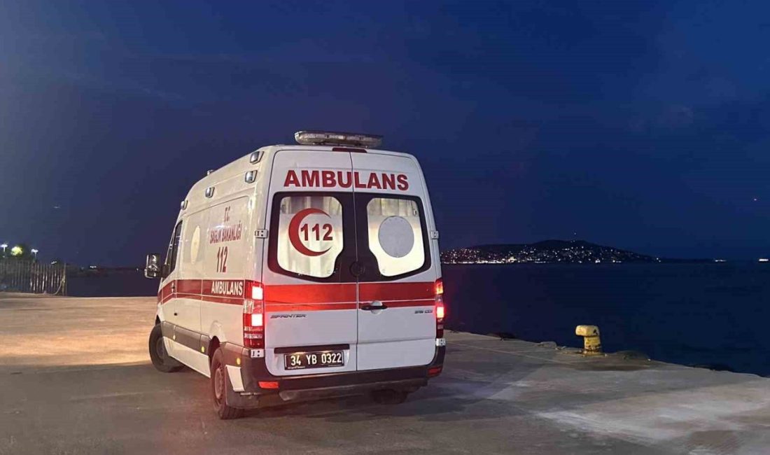 Büyükada Viranbağ Plajı’nda çıkan yangın büyük paniğe neden oldu. Ekiplerin