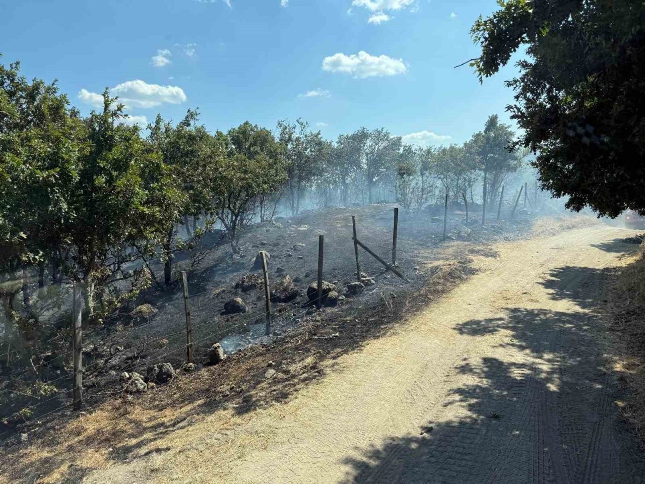 Çanakkale’nin Yenice ilçesinde tarım arazisinde başlayan Orman Bölge Müdürlüğü ekiplerinin