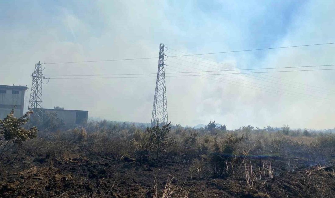 Çanakkale’nin Biga ilçesinde tarım arazisinde çıkan yangına havadan ve karadan