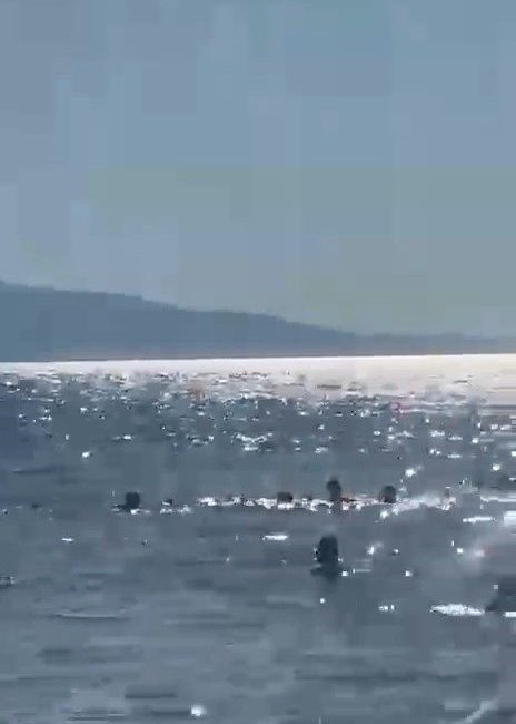 Bursa’da serinlemek için denize gelen baba ve 2 kızı, boylarının