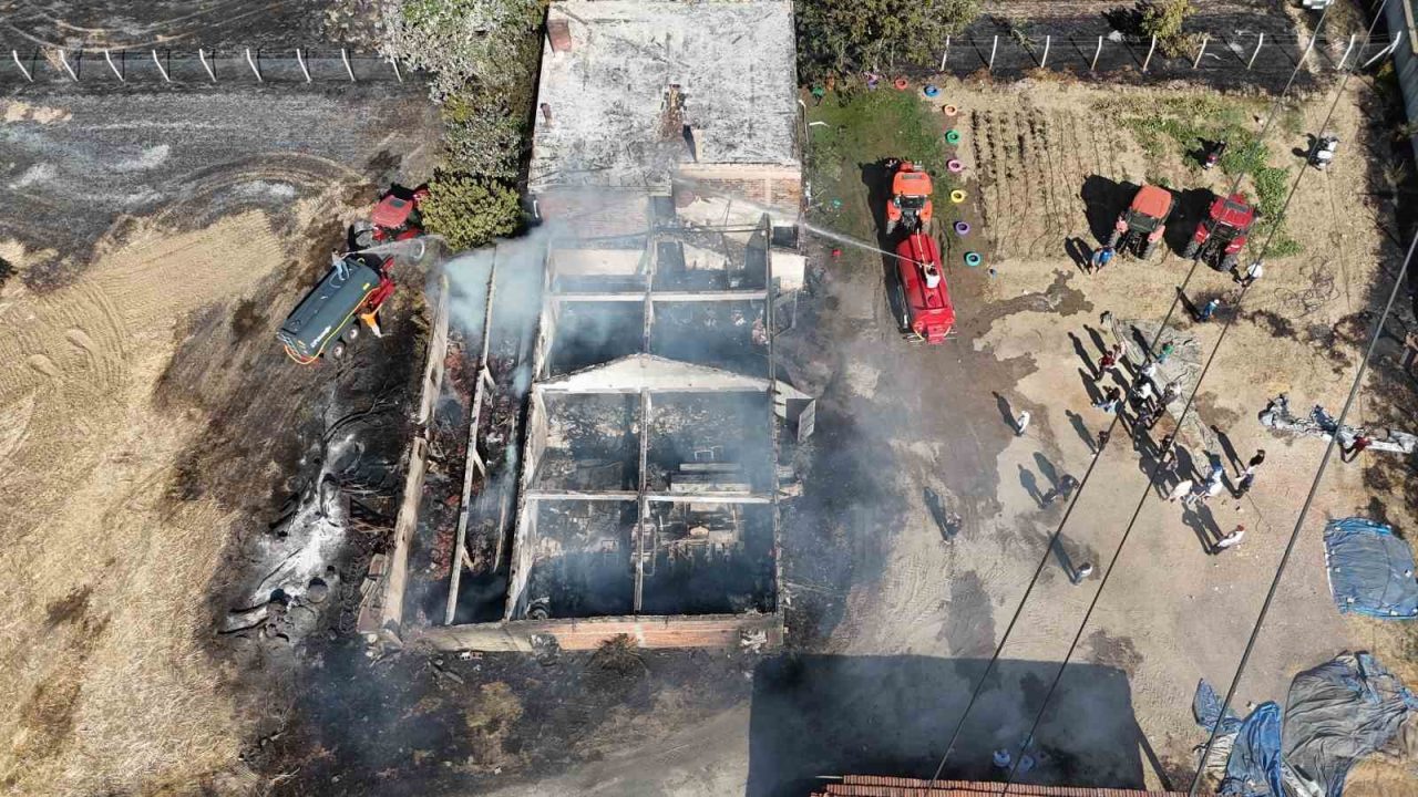 Edirne’nin Havsa ilçesine bağlı Osmanlı köyünde çıkan yangında bir çiftlik