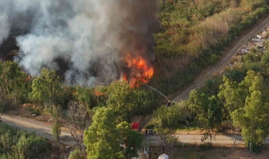 Balıkesir’in Edremit ilçesinde sazlık alanda çıkan yangın, itfaiye ve orman