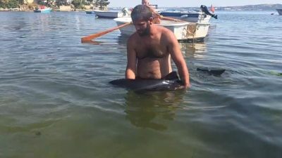 Balıkesir’in Erdek ilçesine bağlı Tatlısu Mahallesi Büyük Bakraç mevkiinde karaya