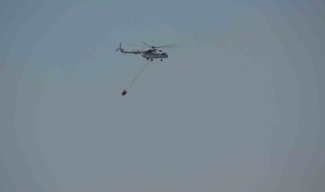 Balıkesir’in Gömeç ve Ayvalık ilçelerinde çıkan orman yangınlarına havadan ve