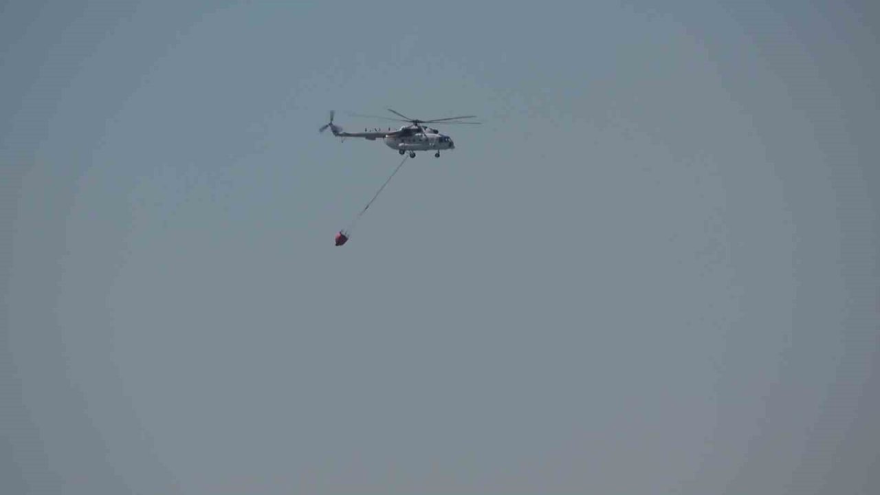 Balıkesir’in Gömeç ve Ayvalık ilçelerinde çıkan orman yangınlarına havadan ve