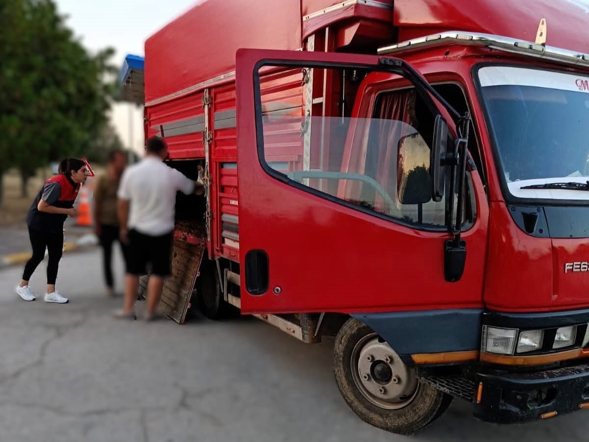Kırklareli’nde kaçak hayvan sevki gerçekleştiren şüpheliler hakkında 175 bin lira