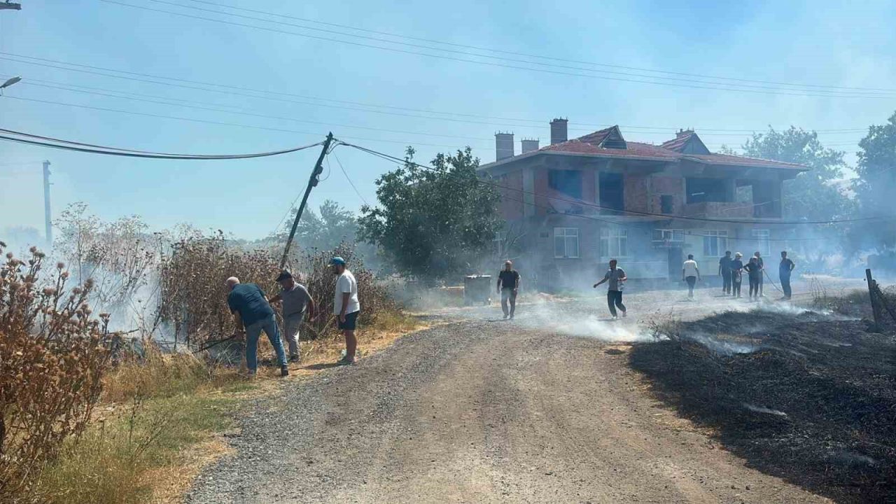 Kırklareli’nin Lüleburgaz ilçesine bağlı Kırıkköy’de otluk alanda çıkan ve kısa