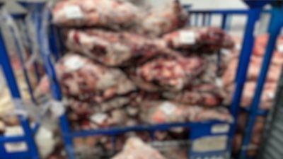Kırklareli’nin Lüleburgaz ilçesi Büyükkarıştıran beldesinde gerçekleştirilen denetimde, uygunsuz şartlarda muhafaza
