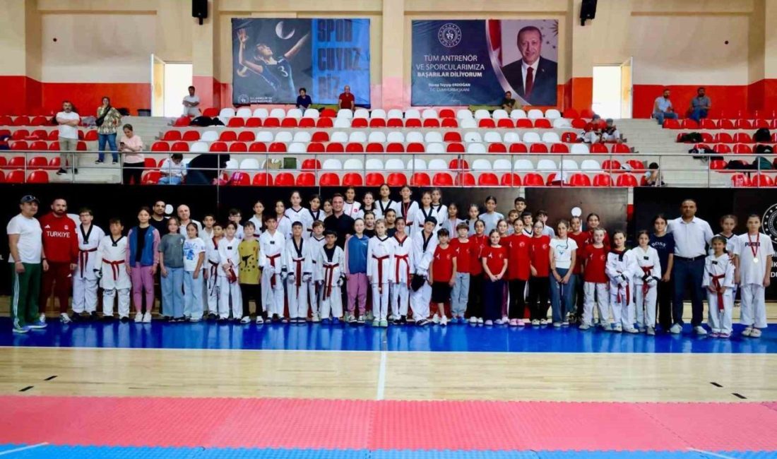 Bilecik’te ‘Taekwondo Minikler Batı Grubu Müsabakaları İl Seçmeleri’ gerçekleştirildi. Bilecik