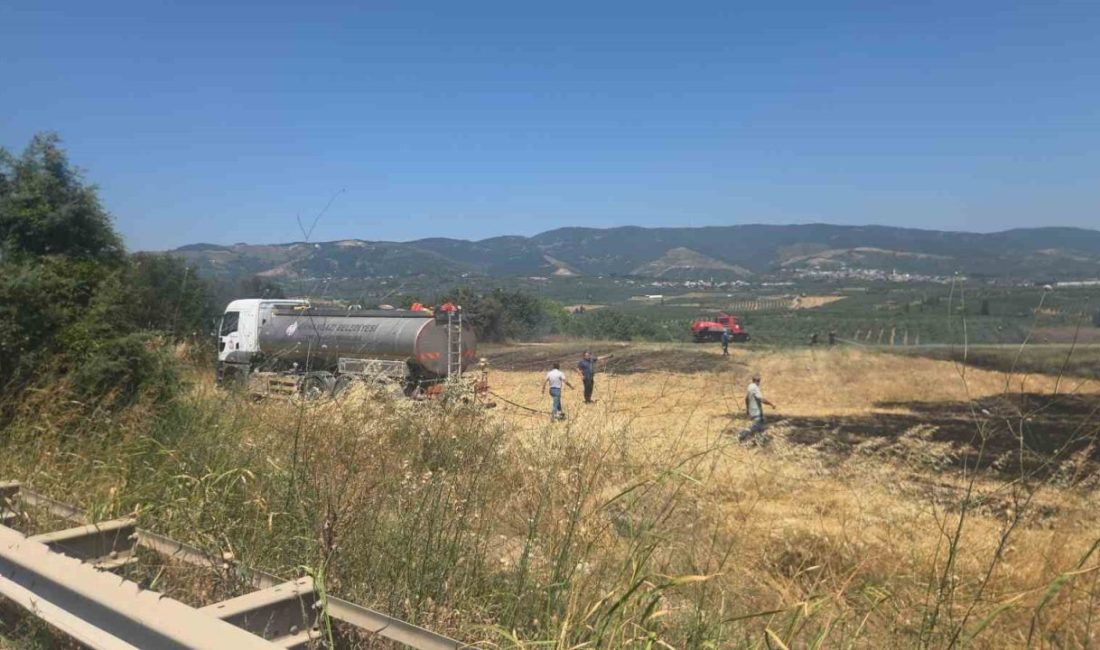 Bursa-Yalova Karayolu Orhangazi Süpürgelik mevkiinde yol kenarındaki ağaçlık alan ile
