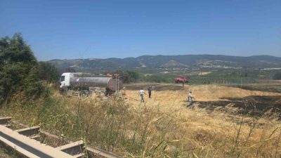 Bursa-Yalova Karayolu Orhangazi Süpürgelik mevkiinde yol kenarındaki ağaçlık alan ile