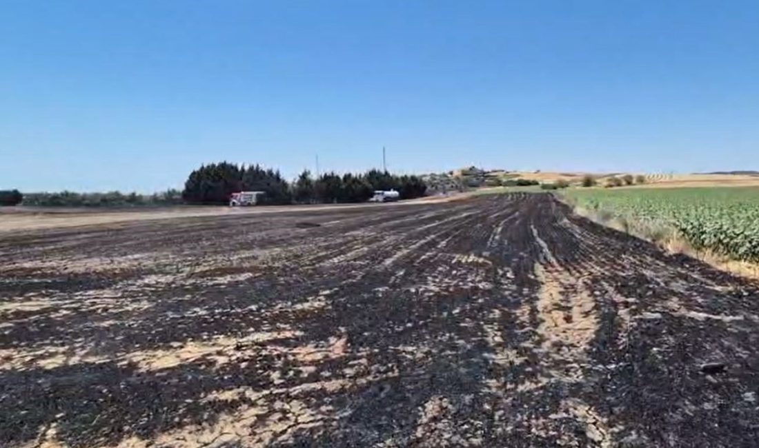 Silivri’nin Seymen Mahallesi’nde elektrik direği kesimi sırasında çıkan yangın, ekili