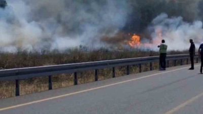 İstanbul’un Sultangazi ilçesinde otluk alanda çıkan yangın ormana sıçradı. Alevler,