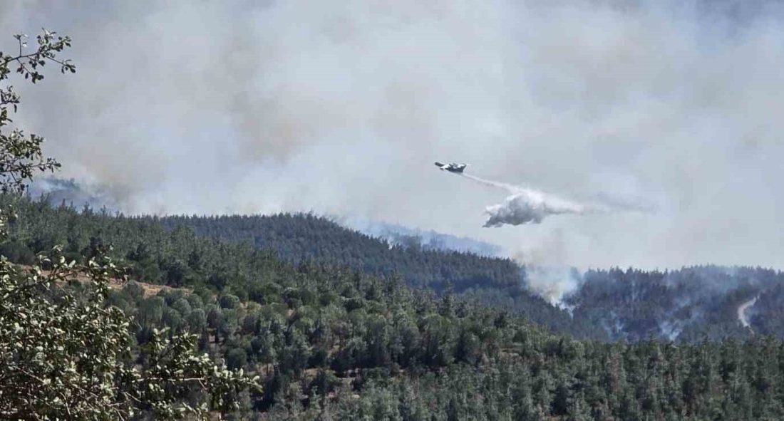 Balıkesir’de Gömeç ilçesinde 3 gündür devam eden yangınla mücadele sürerken,