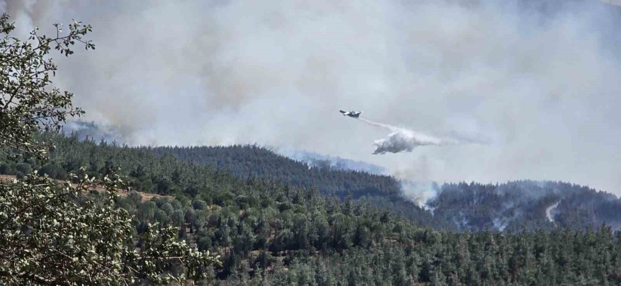 Balıkesir’de Gömeç ilçesinde 3 gündür devam eden yangınla mücadele sürerken,