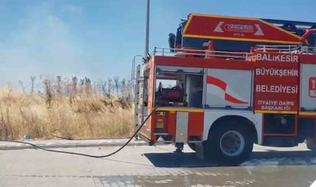 Balıkesir’in Susurluk ilçesinde kapalı pazar yerinin karşısında ki otluk alanda