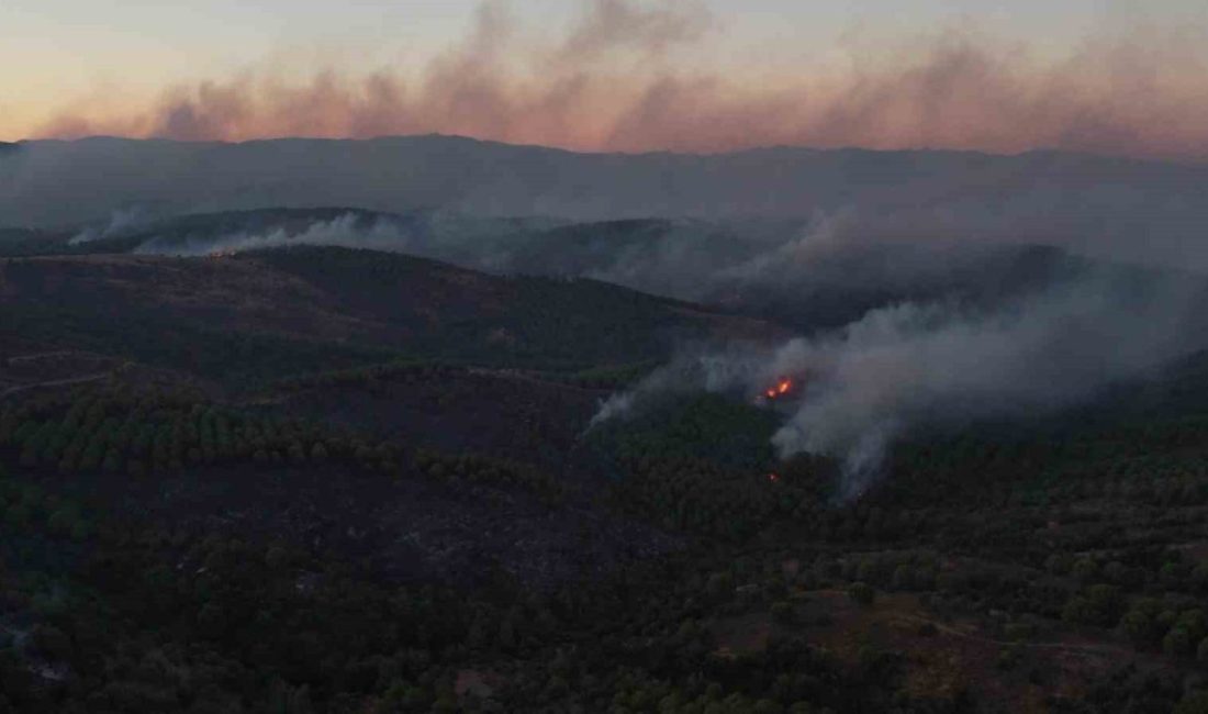 Balıkesir’in Ayvalık ilçesinde bulunan Tıfıllar Köyü’ne kadar ulaşan orman yangınında