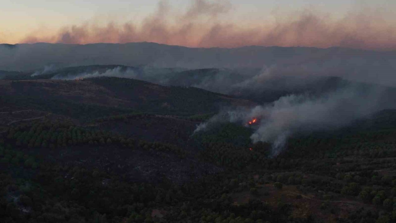 Balıkesir’in Ayvalık ilçesinde bulunan Tıfıllar Köyü’ne kadar ulaşan orman yangınında