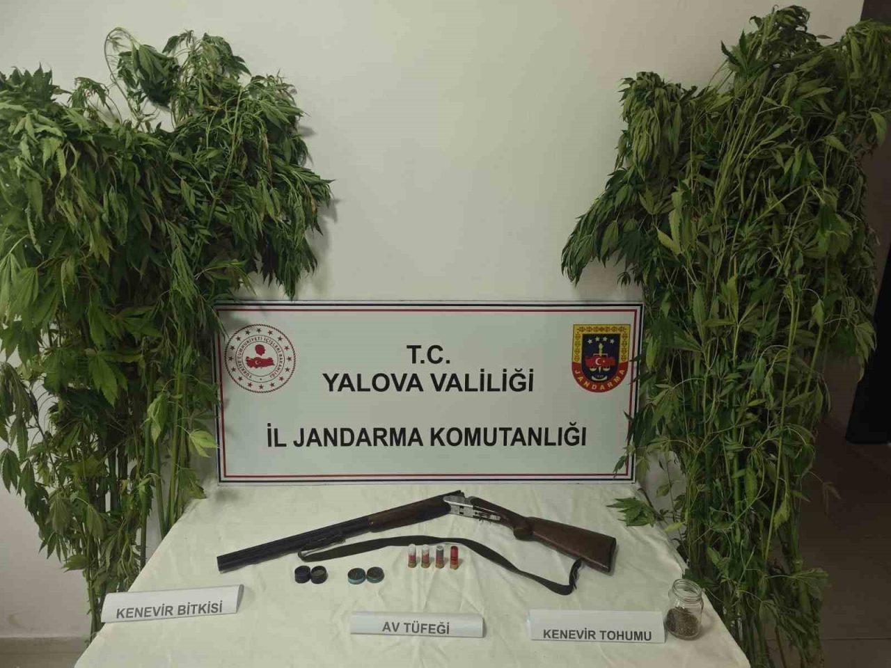 Yalova’nın Çiftlikköy ilçesinde jandarma ekiplerince düzenlenen operasyonda bir ev ve