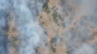 Balıkesir’in merkez Altıeylül ve Sındırgı ilçelerinde orman yangını başladı. Altıeylül