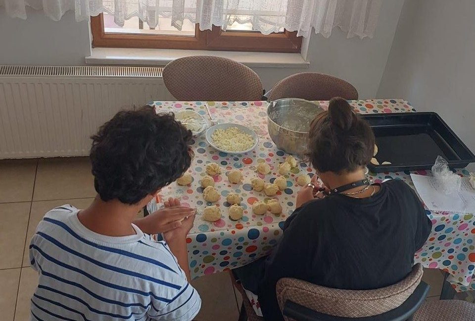 Bandırma Hicri Ercili Çocuk Evleri Sitesi Müdürlüğünde koruma ve bakım