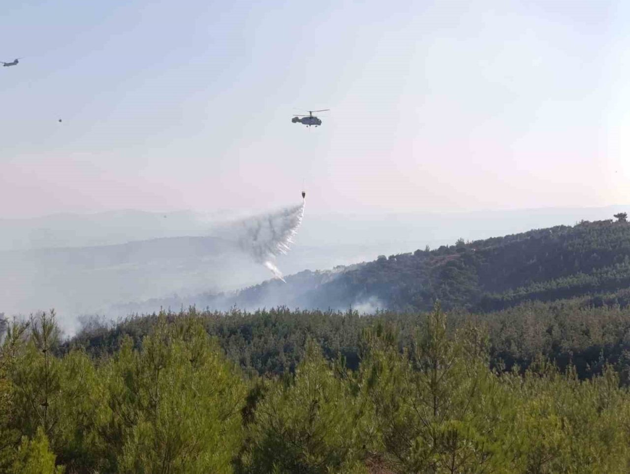 Çanakkale’nin Bayramiç ilçesinde çıkan orman yangını ekiplerin havadan ve karadan