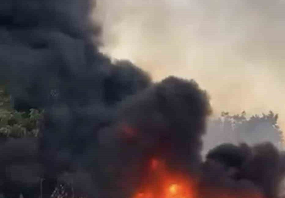 Bursa’da hurdalıkların bulunduğu alanda yangın çıktı. Dumanlar gökyüzünü kaplarken yangın