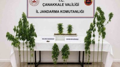 Çanakkale’de Merkez, Biga ve Ezine ilçelerinde gerçekleştirilen uyuşturucu operasyonunda çok