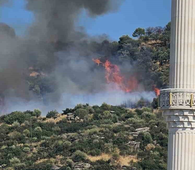 Kocaeli’nin Gebze ilçesinde ormanlık alanda yangın başladı. Bölgeye çok sayıda