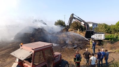 Balıkesir’in Gönen ilçesinde yol kenarındaki otluk alanda başlayıp bir çiftliğe