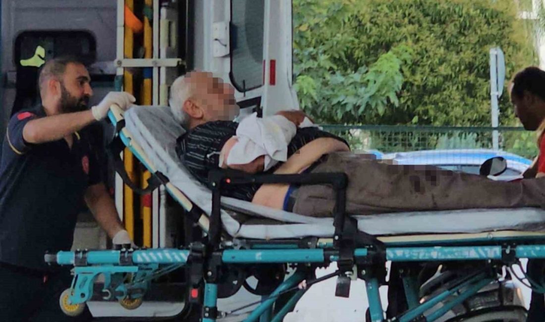 Sakarya’nın Sapanca ilçesinde tartıştığı kayınpederini tüfekle vurarak yaralayan şahıs kayıplara