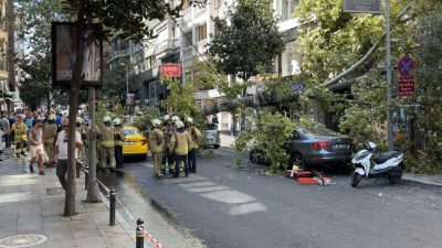 İstanbul Şişli’de henüz belirlenemeyen bir nedenle kökünden devrilen çınar ağacı,