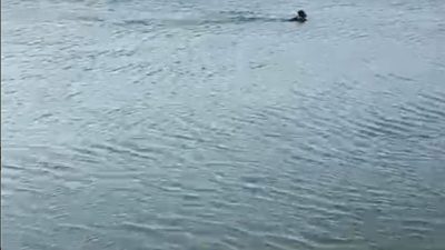 Sakarya’nın Pamukova ilçesinde arkadaşıyla serinlemek için Sakarya Nehri kenarında bulunan