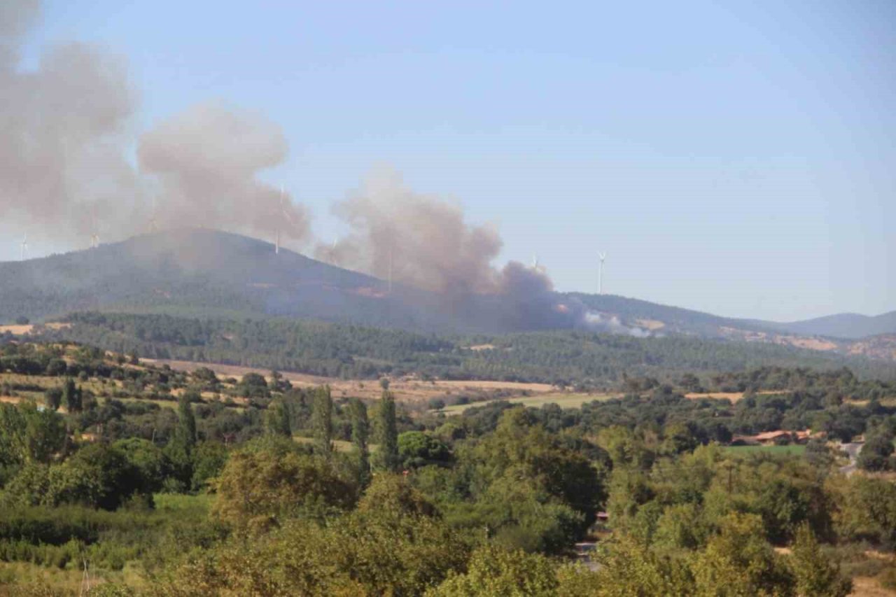 Çanakkale’nin Bayramiç ilçesinde çıkan orman yangını ekiplerin havadan ve karadan