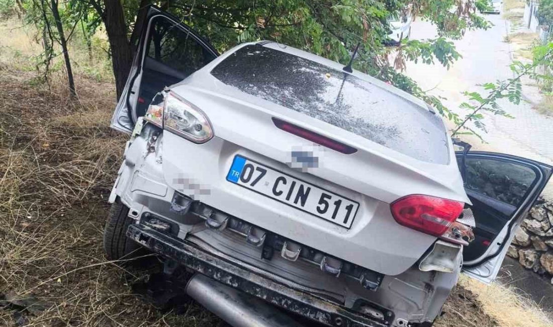 Bilecik’te seyir halindeyken kontrolden çıkan otomobil şarampole uçarken, araç içinde