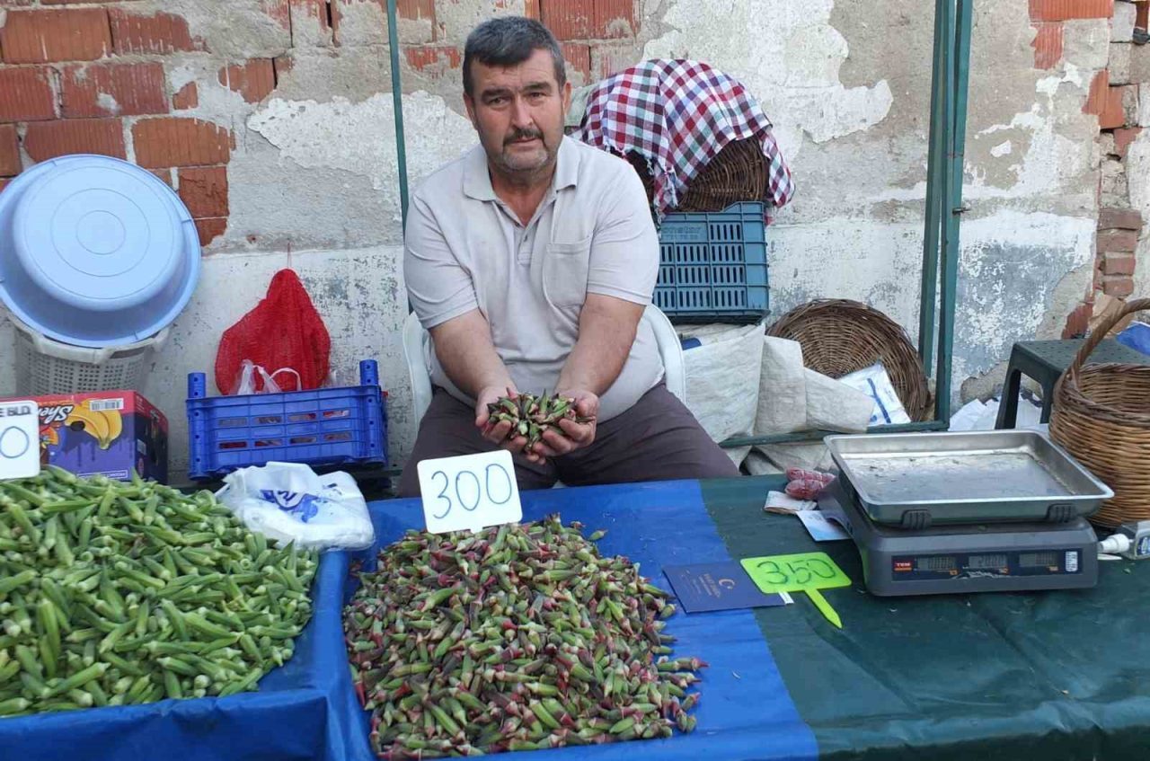 Burhaniye ilçesinde, bamya fiyatları tavan yaparken, fiyatlar üreticileri sevindirdi. 8
